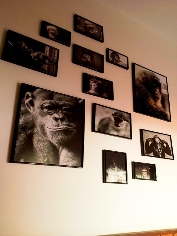 זאדאר The Mellow Monkey Hostel מראה חיצוני תמונה
